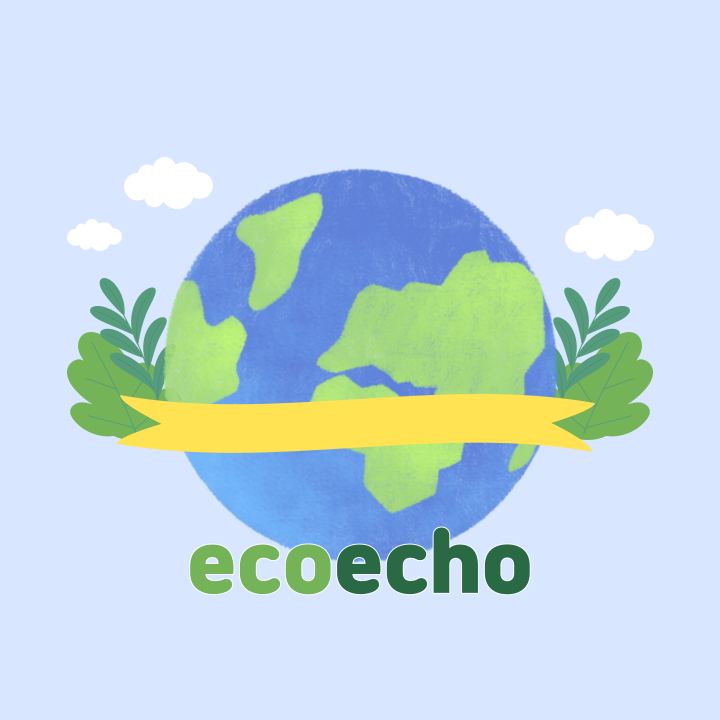 이코에코(ecoecho) 사진 1